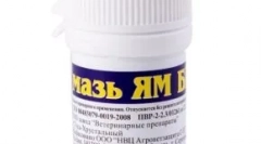 Mazilo ps bc - pomoč pri zdravljenju mačk